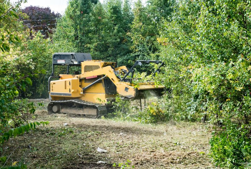 Brush Clearing Service in Gwinnett County, GA