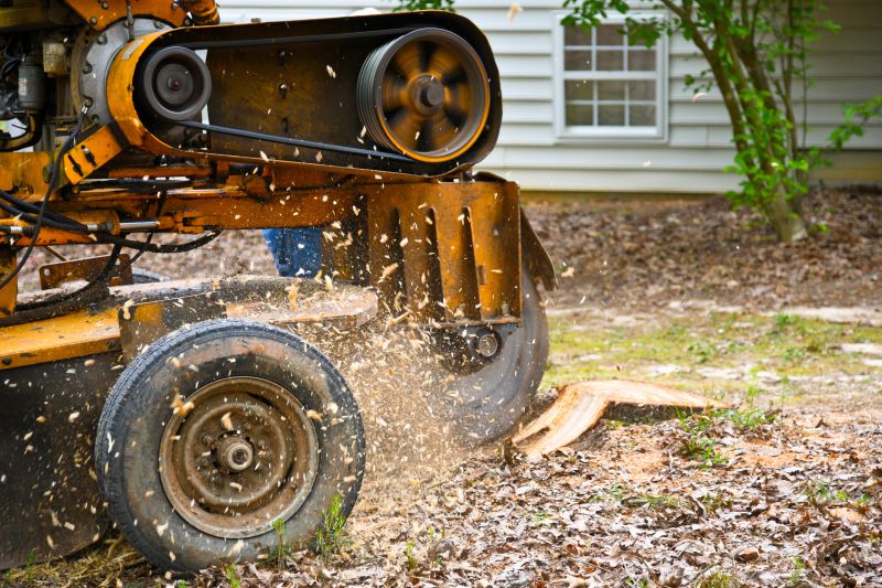 Stump Grinding and Site Cleanup