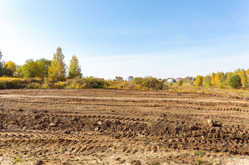 Lakefront Property Clearing in Marietta, GA